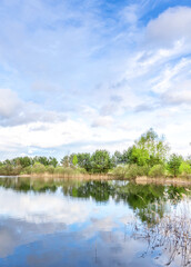 Calm lake with trees in the background