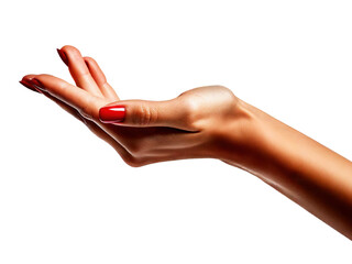 Female hand elegantly stretched, mock up for product display