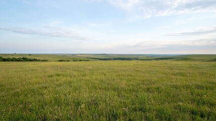 Obraz premium Panoramic grassy plains landscape at dawn