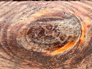 wood texture background