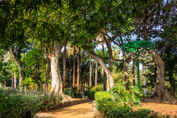  Garcia Sanabria Park in Santa Cruz de Tenerife, Spain