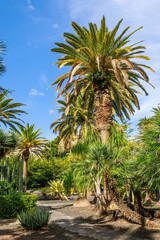  Garcia Sanabria Park in Santa Cruz de Tenerife, Spain