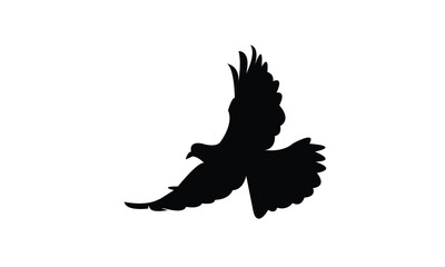 Flying African collared dove bird Silhouette Design  And Vector Illustration. 