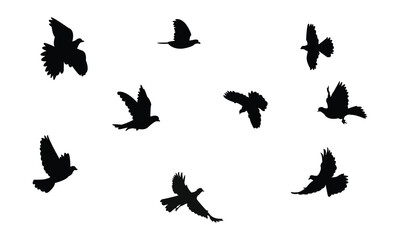 Flying African collared dove bird Silhouette Design  And Vector Illustration. 