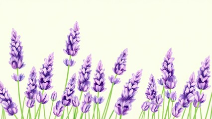 Naklejka premium Lavender Flowers Watercolor Border Purple Floral Illustration Botanical Design