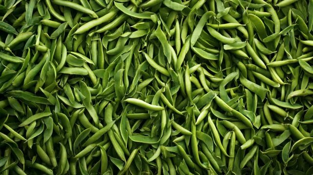 A surface densely covered with freshly picked green beans, filling every inch of the frame with their crisp, green texture and vibrant color.