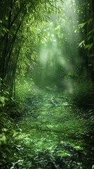 Obraz premium Enchanting Bamboo Forest with Sunlight and a Serene Pathway 