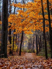 Beautiful autumn forest path with vibrant orange leaves and tranquil atmosphere : Generative AI