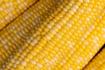 peeled corn cob with yellow and white seeds of different sizes and shades