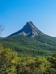 Obraz premium Stunning Rocky Mountain Peak Surrounded by Lush Green Forest Under Clear Blue Sky : Generative AI