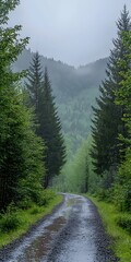A serene, foggy landscape along a winding dirt path, surrounded by lush green trees and a misty mountain backdrop, evoking a sense of tranquility and connection to nature.