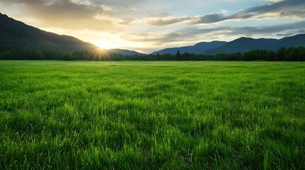 Fototapeta premium Beautiful Green Field at Sunset with Mountains in the Background and Dramatic Sky : Generative AI