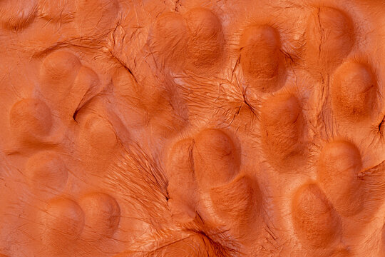 a special paste with the addition of orange clay for creativity and modeling