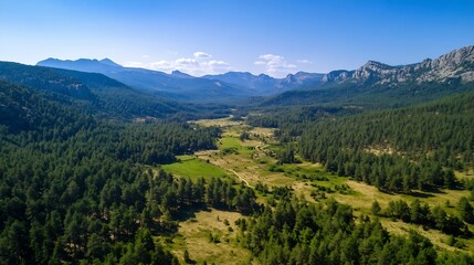 Obraz premium Breathtaking Aerial View of a Lush Green Valley Surrounded by Majestic Mountains : Generative AI