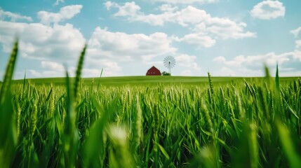 Lush Green Field with a Red Barn and Windmill Under Blue Sky