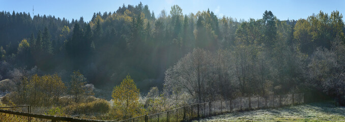 Lowland at the forest edge along Kotliarevskogo street, Skhidnytsia, Ukraine..