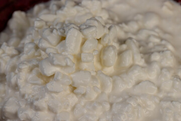 cottage cheese made from lumps with cream close-up