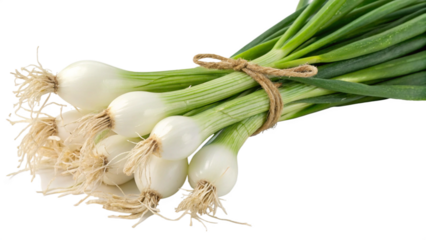 Fresh green onion isolated on a transparent background, ideal for food-related, culinary, or vegetable-themed designs. High-quality PNG cutout for easy integration into recipes or food projects.