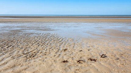 Wide Open Beach with Scenic Tides and Clear Blue Skies Inviting Peaceful Relaxation : Generative AI