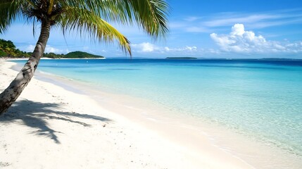 Stunning Tropical Beach with Clear Turquoise Water and Palm Trees Under a Bright Sky : Generative AI