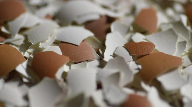 red and white eggshell pile, abstract background, texture