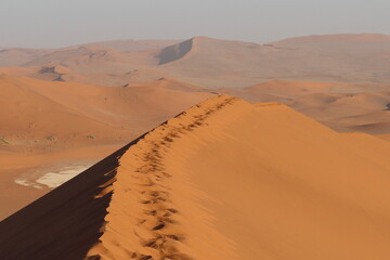 sand dunes in death valley