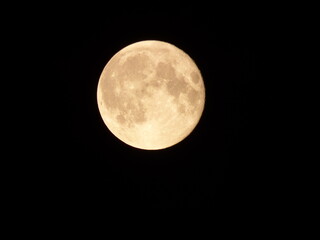 full moon in the night