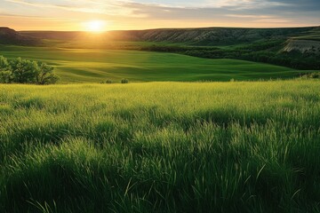 Obraz premium A serene rural landscape showcasing lush green rolling hills basking under a golden sunset, exuding a tranquil and picturesque atmosphere reminiscent of pastoral beauty and natural grandeur.