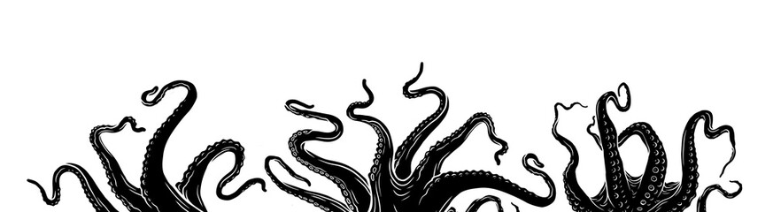 Octopus illustration. Tentacles of octopus, hand drawn collection of illustrations. Black and white engraving style drawings. Tentacle straight and with rings in different angles.
