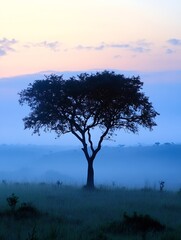 Fototapeta premium Lonely Tree Silhouetted Against a Colorful Misty Sunrise : Generative AI