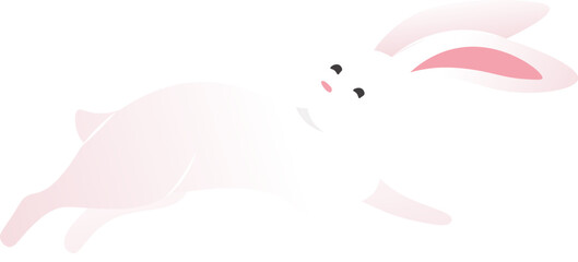 Running Rabbit Animal