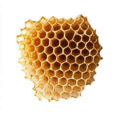 Honeycomb Cell Structure Closeup; Natural, Isolated