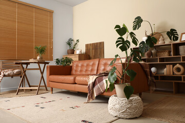 Monstera houseplant and cozy sofa in interior of living room