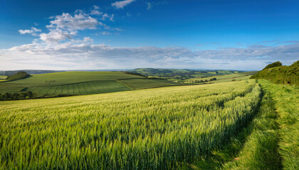 Fototapeta premium A picturesque landscape features rolling green fields under a bright blue sky with scattered white clouds.