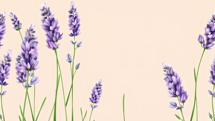 Obraz premium Elegant Lavender Flowers Floral Design Botanical Illustration Soft Pastel Background