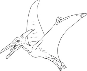 pterodactyl © Junior 