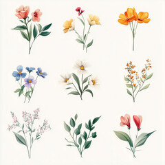 Watercolor wildflower collection with soft pastel tones and delicate floral elements