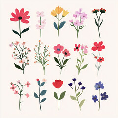 Hand drawn floral collection with colorful wildflowers on a light background