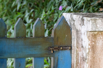detail of old blue wooden gate with golden metal lock and small white masonry wall in front of vegetation background
