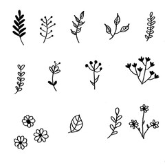 Collection of simple flower doodles, hand-drawn branches, and leaf icons.