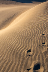 Golden Waves: The Majestic Beauty of Sand Dunes