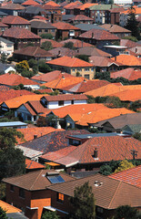 Red roofed houses in the Sydney suburb of Bondi.