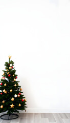 Christmas tree on the background of an empty white wall, professional photography. with white shades