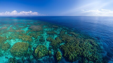 Fototapeta premium Vibrant Coral Reef Panorama In Turquoise Water
