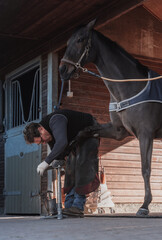 Farrier filing a horse hoof in a stable