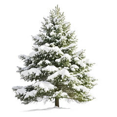 christmas tree isolated on white