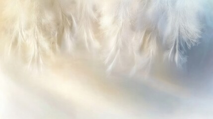 Winter Forest Path: Soft Light and Fog