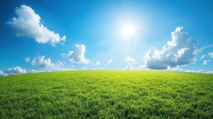 Obraz premium Sunny meadow, blue sky, clouds, green grass, landscape, nature, idyllic, peaceful, serenity, spring