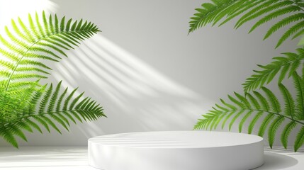 White Minimalist Product Display Platform Green Ferns Sunlight