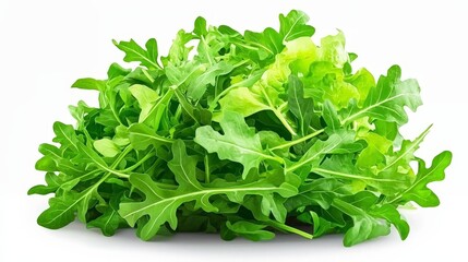 Obraz premium healthy Vibrant Collection of Fresh Green Lettuce Leaves Arranged in a Natural Setting Highlighting Their Crisp Texture and Rich Color Under Soft Lighting food